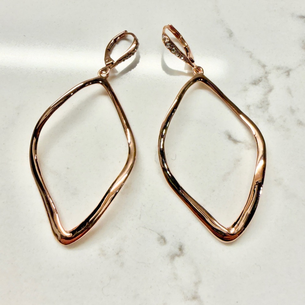 Alexis Bittar Rose Gold Earrings